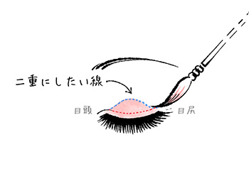 使用方法 目もとタイプ別 ローヤル化研 二重まぶた形成化粧品